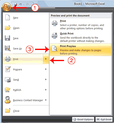 Print Command, Print Preview 