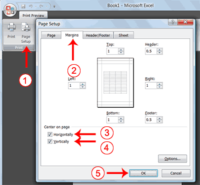 show margins in excel 2013 print preview